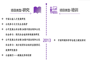 插操骚逼非评估类项目发展历程